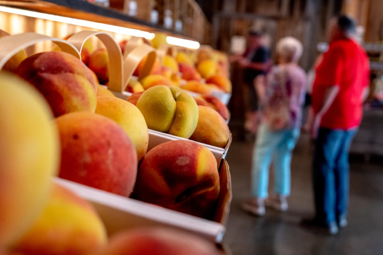 Customers shop for peaches last year at Flamm Orchards in Cobden, Illinois.